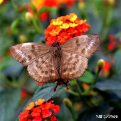 丢个锤子最新版下载