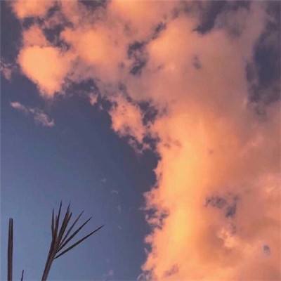 一战封神姜子牙bt版下载