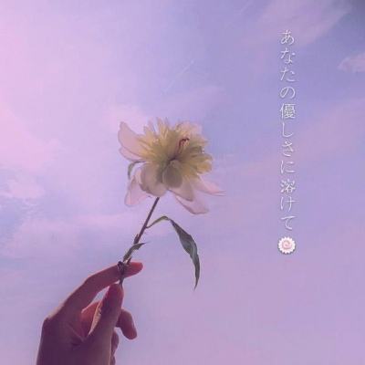 美味星球鲨鱼版游戏下载